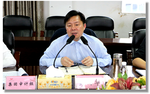 集團黨委委員、紀委書記彭向華強調審計整改工作要深挖思想根源(圖2)